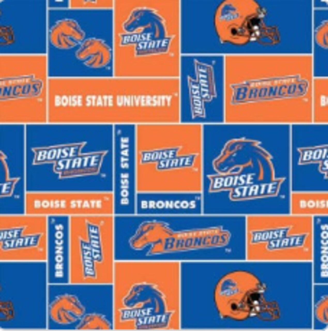 Licensed NCAA Boise State University Block Fleece BOISE-012 Fabric by the Yard